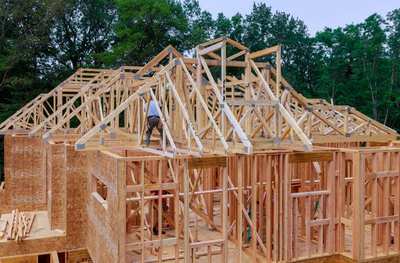 Roof and Framing Systems